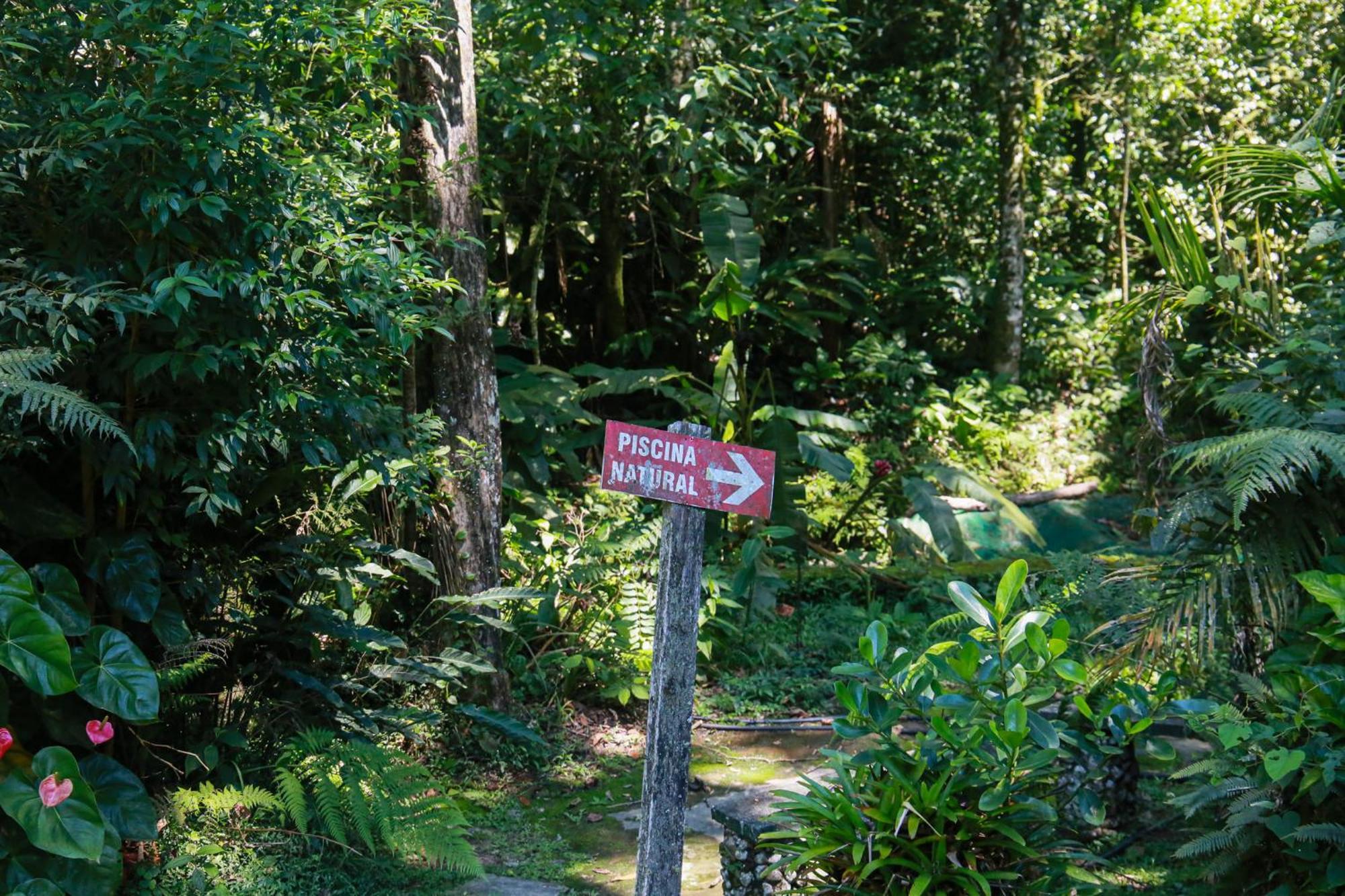 Chale Shakti Lodge